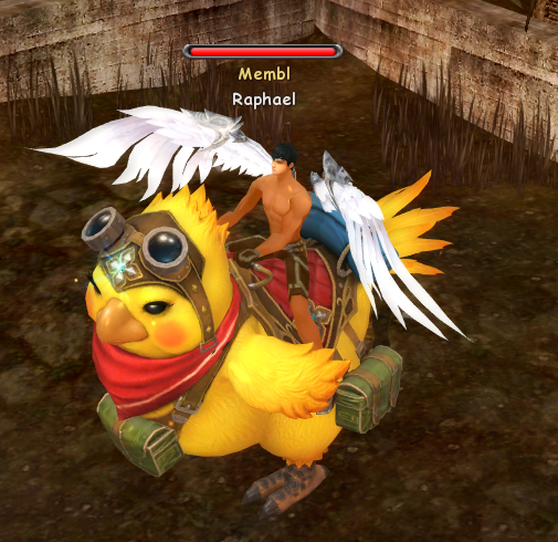 Исследователь Чирпи