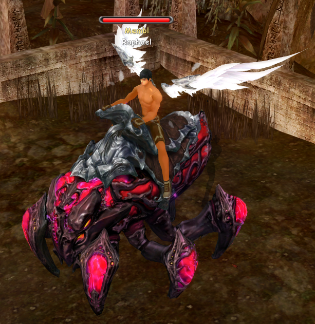 Красный жук