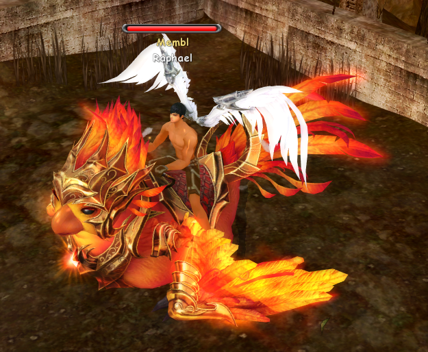 Милый маленький феникс