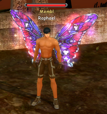 Витражные крылья бабочки