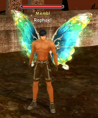 Крылья лесной бабочки