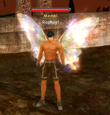 Крылья лесной феи