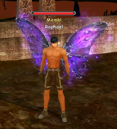 Крылья черной бабочки