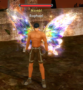 Разноцветные крылья бабочки